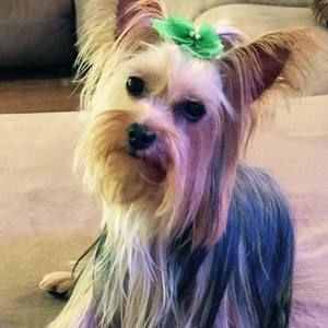 Meet your Posher, Angela